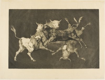 Fool’s Folly, od Disparates od Francisco Jose de Goya y Lucientes