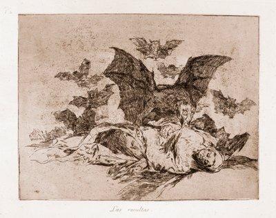 The Disasters of War: Výsledky (lept z přípravné kresby od Francisco de Goya
