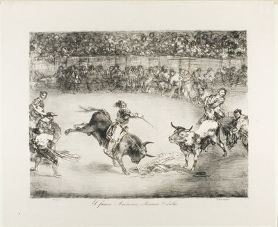 Slavný Američan, Mariano Ceballos, z Býků z Bordeaux od Francisco Jose de Goya y Lucientes