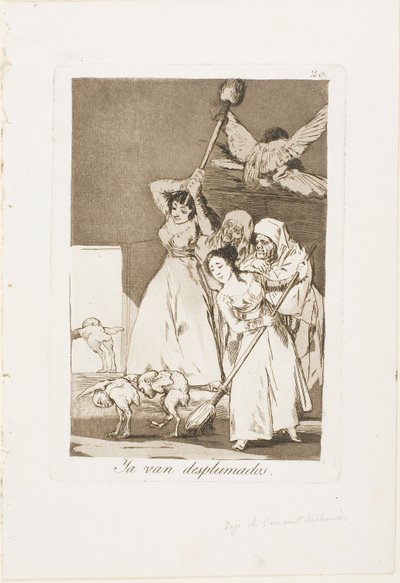 There They Go Plucked (tedy fleeced), talíř 20 z Los Caprichos od Francisco Jose de Goya y Lucientes