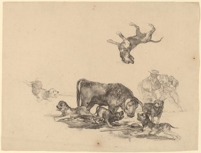 Býk napadený psy od Francisco de Goya