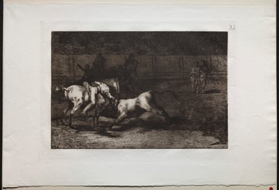 Býčí zápasy: Mariano Ceballos, Alias Indián, Kills the Bull from his horse, 1876. od Francisco de Goya