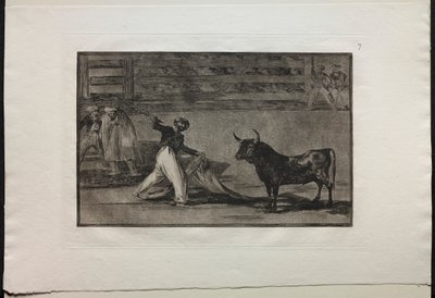 Býčí zápasy: Původ harpun nebo vlajek od Francisco de Goya