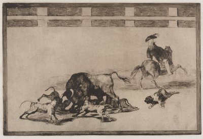 Býčí zápasy: Vypouštějí psy na býka od Francisco de Goya