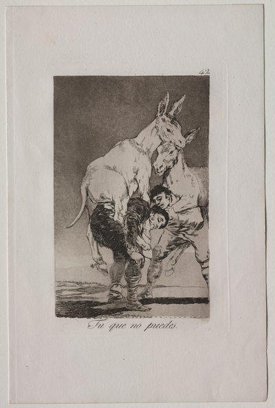 Caprichos: Ty, který nemůžeš od Francisco de Goya