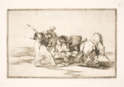 Maurové, kteří se usadili ve Španělsku a opustili pověru v Koránu, získali toto umění lovu a nabodnutí býka na pláni. od Francisco de Goya
