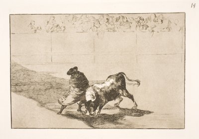 Velmi talentovaný student z Falces, zahalený v plášti, oklame býka pohyby svého těla od Francisco de Goya