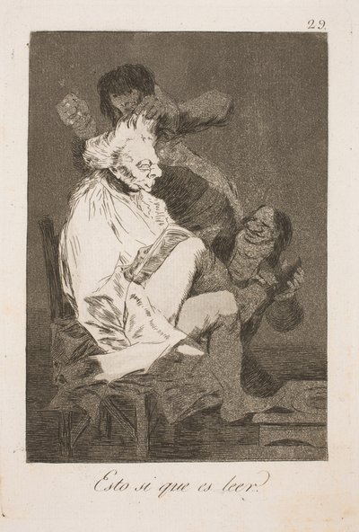 Tomu se říká čtení od Francisco de Goya