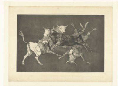 Bláznovství malých býků Nesourodé de tontos Los Disparates (The follies) (název série) Los Proverbios (The Proverbs) (název série) od Francisco de Goya