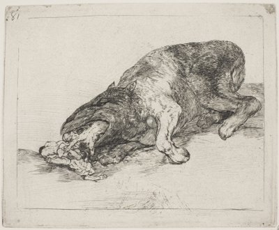 Divoké monstrum (81) od Francisco de Goya