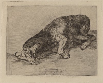 Divoké monstrum! (Divné monstrum!) od Francisco de Goya
