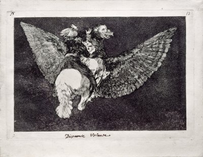 Flying Folly ze série Los Disparates Follies, 1815-1819 od Francisco de Goya