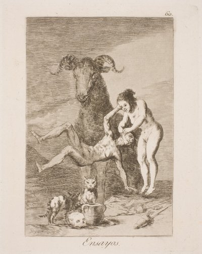 Pokus od Francisco de Goya