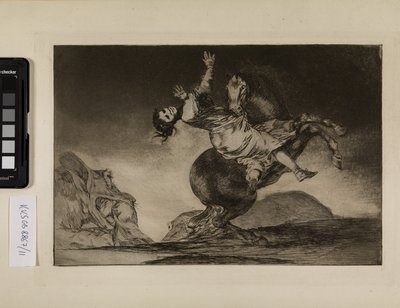 Únosce koní (Žena a kůň, ať si je zkrotí někdo jiný) od Francisco de Goya