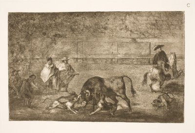 Psi jsou vyleštěni na býka od Francisco de Goya