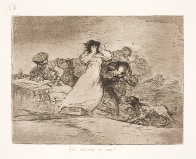 Co tento zmatek znamená? (65) od Francisco de Goya