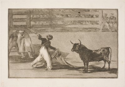 Původ harpun nebo banderil od Francisco de Goya