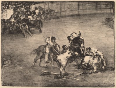 Picador chycen býkem od Francisco de Goya