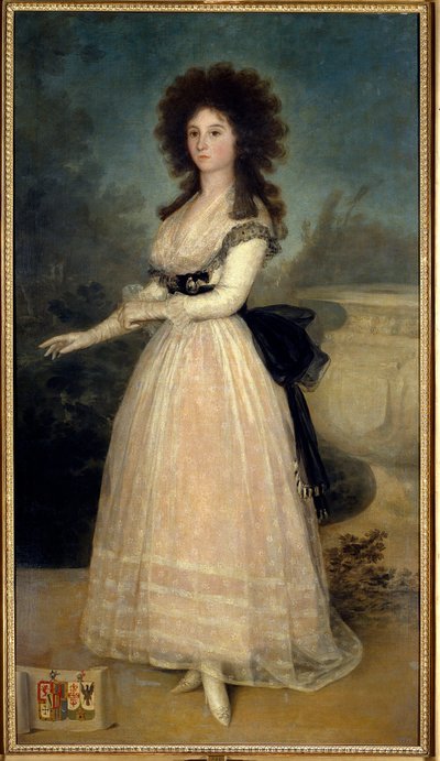 Portrét na nohou Dona Tadea Arias de Enriquez Malba Francisca de Goya (1746-1828) (Ec. Esp) Madrid 18. století. Musee Du Prado - Celovečerní portrét Dony Tadea Arias de Enriquez. Obraz Francisco de Goya (1746-1828) (španělská škola) 18. od Francisco de Goya