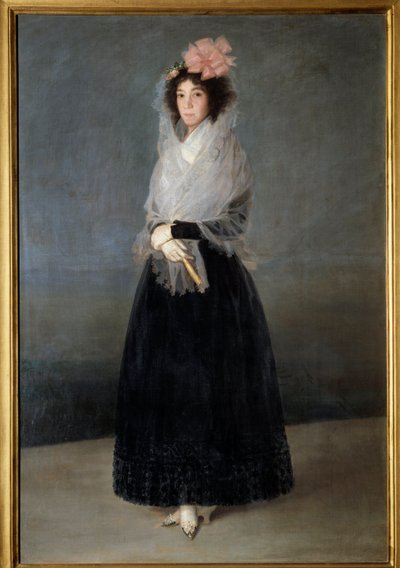 Portrét hraběnky Del Carpio, markýze ze Solana (1757-1795) Obraz Francisco de Goya (1746-1828) 18. století Sun. 1,81 x 1,22 m od Francisco de Goya