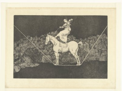 Přesná hloupost Nesourodý puntičkář Los Disparates (The follies) (název série) Los Proverbios (The Proverbs) (název série) od Francisco de Goya