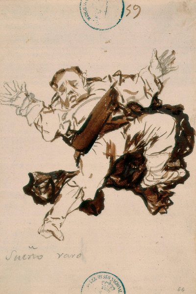 Podivný sen od Francisco de Goya