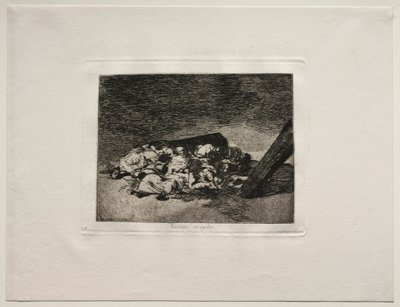 The Horrors of War: Harvest of the Dead. od Francisco de Goya