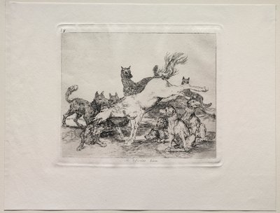 The Horrors of War: On se brání dobře od Francisco de Goya