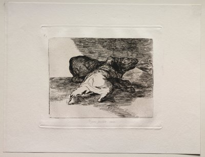 The Horrors of War: Něco z toho má... od Francisco de Goya