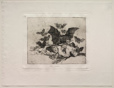 The Horrors of War: The Consequences. od Francisco de Goya