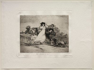 The Horrors of War: Co je to Hubbub. od Francisco de Goya
