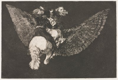 Přísloví: Létající bláznovství od Francisco de Goya