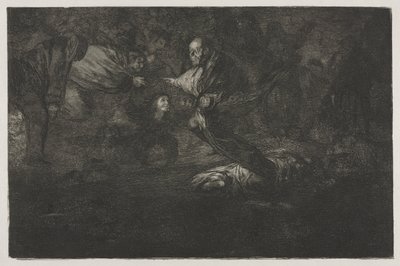 Přísloví: Bůh je stvořil a oni se spojili od Francisco de Goya