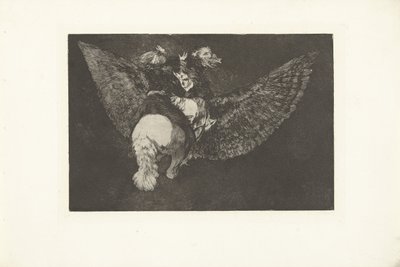 létající pošetilost Nesourodé volante Los Disparates (The follies) (název série) Los Proverbios (The Proverbs) (název série) od Francisco de Goya