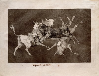 Fool`s Folly od Francisco de Goya