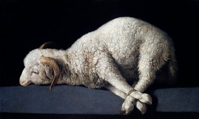 Agnus Dei od Francisco de Zurbaran