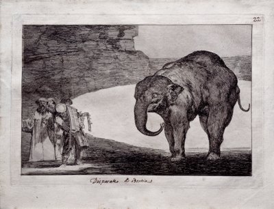 Animal Folly od Francisco de Goya