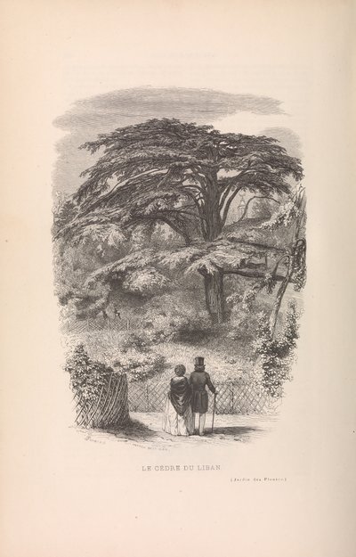 Botanická zahrada, popisy a způsoby savců, 1842. od Francois Boitard