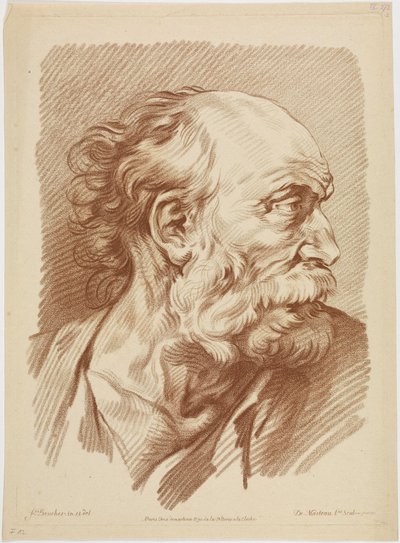 Busta starého muže od François Boucher