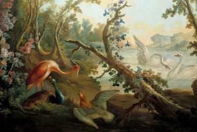 Labutě a pávi Obraz Francoise Bouchera (1703-1770) Paříž 18. století, Musee Carnavalet od François Boucher