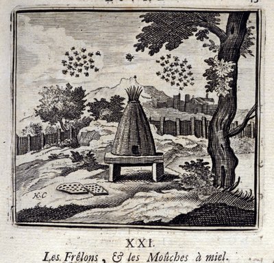 Sršni a medové mušky. Bajky Jean de La Fontaine (1621-95). Ilustrace Francois Chauveau (1613-1676). Vydání z roku 1728. od Francois Chauveau
