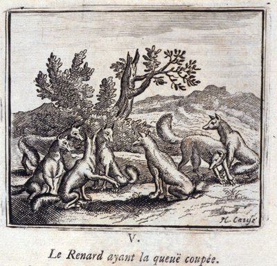 Ilustrace z 