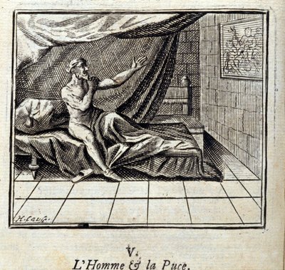 The Man and the Flea.Bajky Jean de La Fontaine (1621-95). Ilustrace Francois Chauveau (1613-1676). Vydání z roku 1728. od Francois Chauveau
