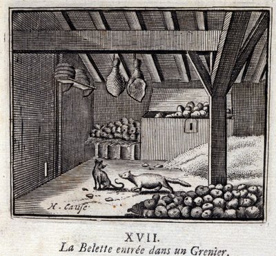 La Weasette vstoupil do Grenieru. Bajky Jean de La Fontaine (1621-95). Ilustrace François Chauveau (1613-1676). Vydání z roku 1728. od Francois Chauveau