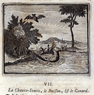 Netopýr, keř a kachna. Bajky Jean de La Fontaine (1621-95). Ilustrace François Chauveau (1613-1676). Vydání z roku 1728. od Francois Chauveau