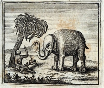 Slon a opice Jupitera. Bajky Jean de La Fontaine (1621-95). Ilustrace François Chauveau (1613-1676). Vydání z roku 1728. od Francois Chauveau