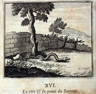 Hlava a ocas hada. Bajky od Jeana de La Fontaine (1621-95). Ilustrace François Chauveau (1613-1676). Vydání z roku 1728. od Francois Chauveau