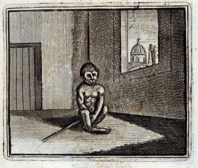 Opice. Bajky Jean de La Fontaine (1621-95). Ilustrace François Chauveau (1613-1676). Vydání z roku 1728. od Francois Chauveau