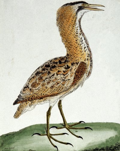 Závěsný od Francois Nicolas Martinet