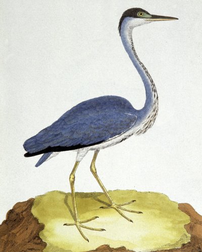 Závěsný od Francois Nicolas Martinet
